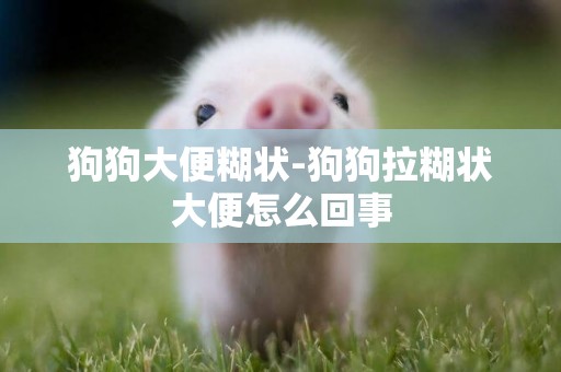 狗狗大便糊狀-狗狗拉糊狀大便怎么回事