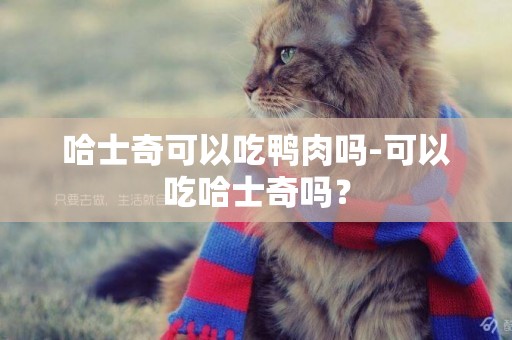 哈士奇可以吃鴨肉嗎-可以吃哈士奇嗎？