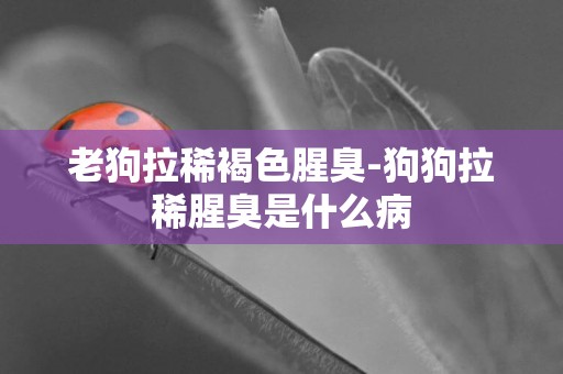 老狗拉稀褐色腥臭-狗狗拉稀腥臭是什么病