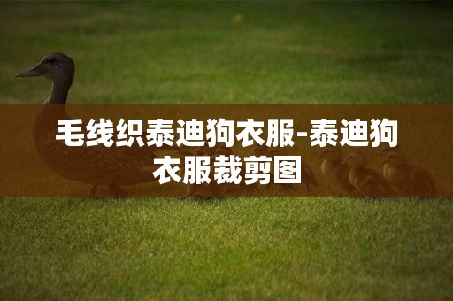 毛線織泰迪狗衣服-泰迪狗衣服裁剪圖