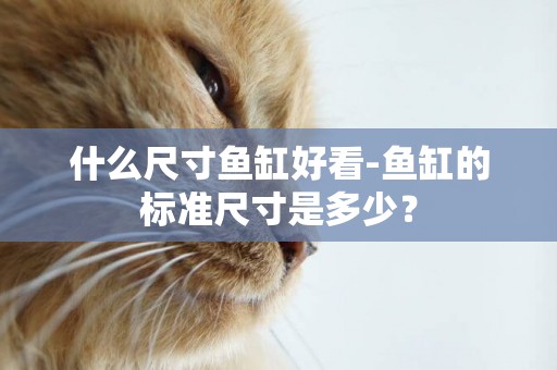 什么尺寸魚缸好看-魚缸的標準尺寸是多少？