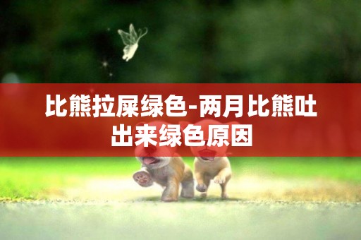 比熊拉屎綠色-兩月比熊吐出來綠色原因