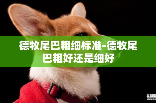 德牧尾巴粗細標準-德牧尾巴粗好還是細好
