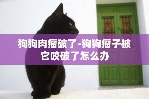 狗狗肉瘤破了-狗狗瘤子被它咬破了怎么辦