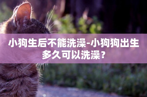 小狗生后不能洗澡-小狗狗出生多久可以洗澡？