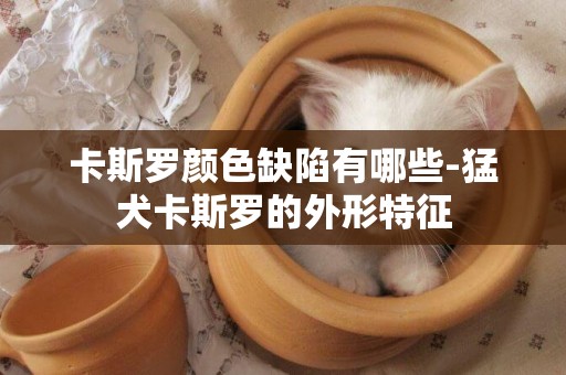卡斯羅顏色缺陷有哪些-猛犬卡斯羅的外形特征