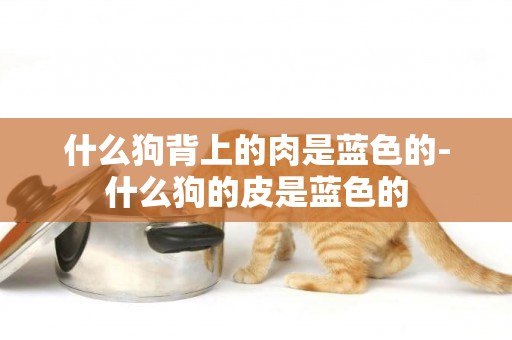 什么狗背上的肉是藍色的-什么狗的皮是藍色的