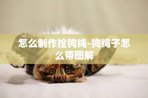 怎么制作拴狗繩-狗繩子怎么帶圖解