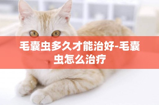 毛囊蟲多久才能治好-毛囊蟲怎么治療