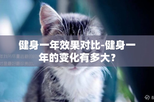 健身一年效果對比-健身一年的變化有多大？