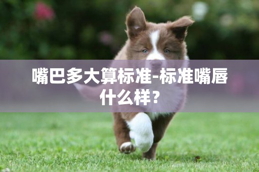 嘴巴多大算標準-標準嘴唇什么樣？