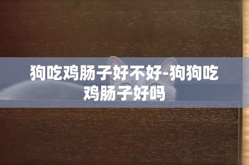 狗吃雞腸子好不好-狗狗吃雞腸子好嗎