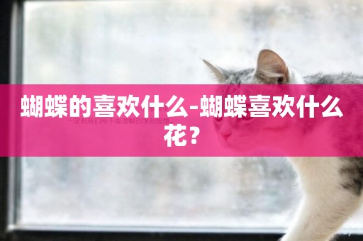 蝴蝶的喜歡什么-蝴蝶喜歡什么花？