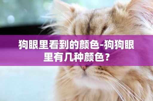 狗眼里看到的顏色-狗狗眼里有幾種顏色？