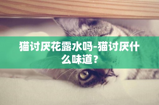 貓討厭花露水嗎-貓討厭什么味道？