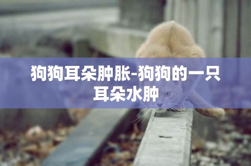 狗狗耳朵腫脹-狗狗的一只耳朵水腫