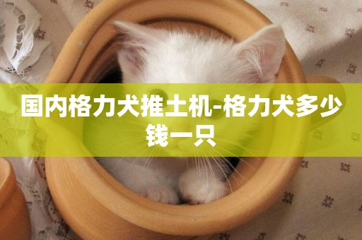 國內格力犬推土機-格力犬多少錢一只