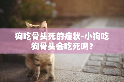 狗吃骨頭死的癥狀-小狗吃狗骨頭會吃死嗎？
