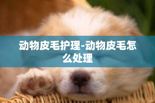 動物皮毛護理-動物皮毛怎么處理