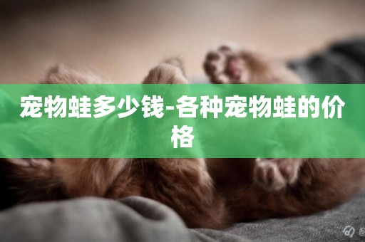 寵物蛙多少錢-各種寵物蛙的價格