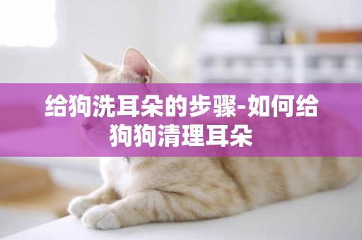 給狗洗耳朵的步驟-如何給狗狗清理耳朵