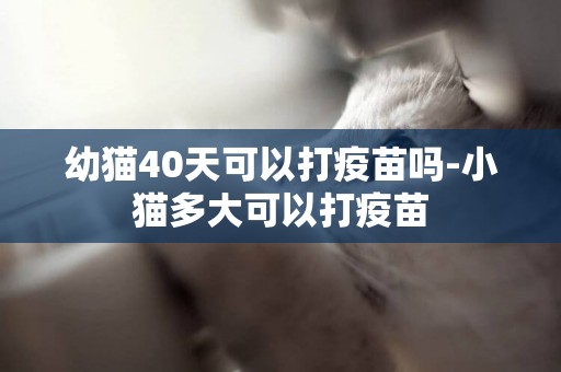 幼貓40天可以打疫苗嗎-小貓多大可以打疫苗