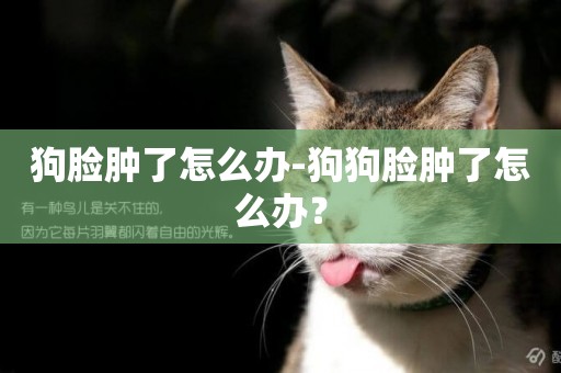 狗臉腫了怎么辦-狗狗臉腫了怎么辦？