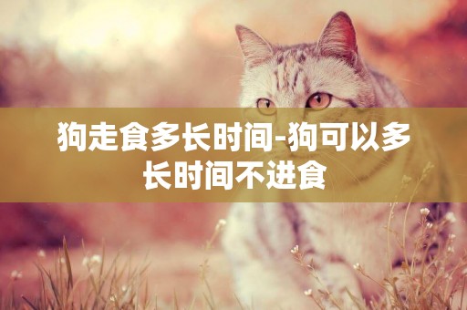狗走食多長時間-狗可以多長時間不進食