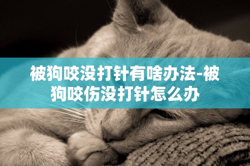 被狗咬沒打針有啥辦法-被狗咬傷沒打針怎么辦