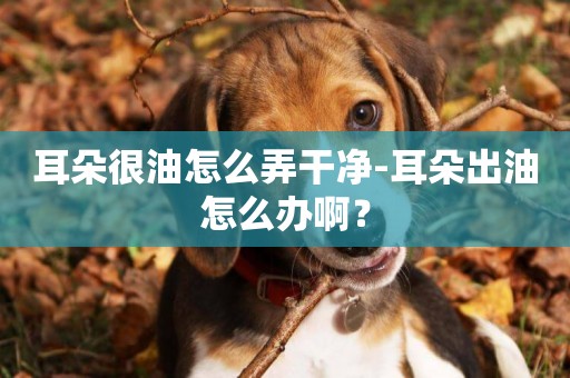 耳朵很油怎么弄干凈-耳朵出油怎么辦啊？