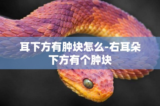 耳下方有腫塊怎么-右耳朵下方有個腫塊