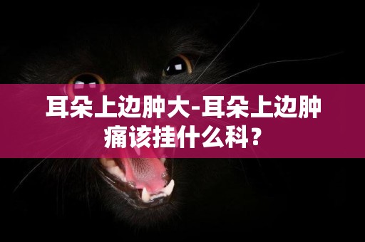 耳朵上邊腫大-耳朵上邊腫痛該掛什么科？