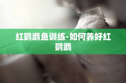 紅鸚鵡魚訓練-如何養好紅鸚鵡