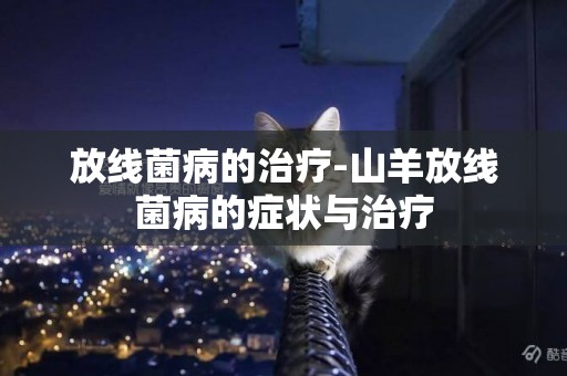 放線菌病的治療-山羊放線菌病的癥狀與治療