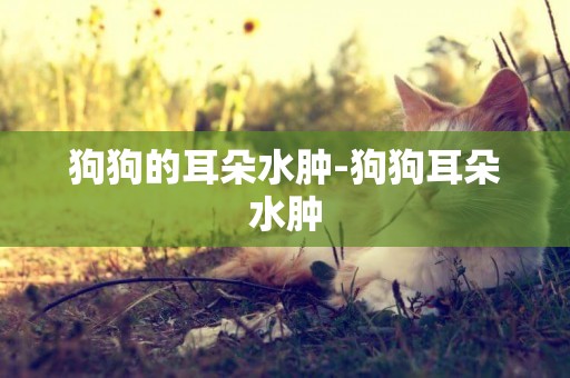 狗狗的耳朵水腫-狗狗耳朵水腫