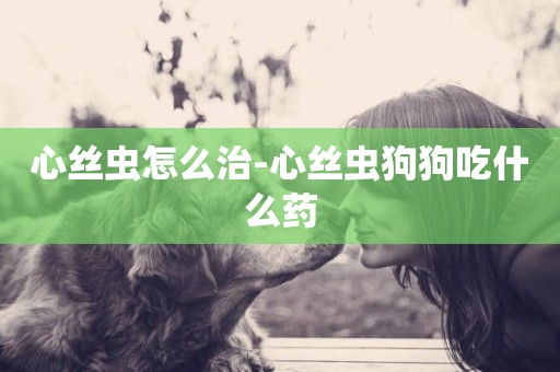 心絲蟲怎么治-心絲蟲狗狗吃什么藥