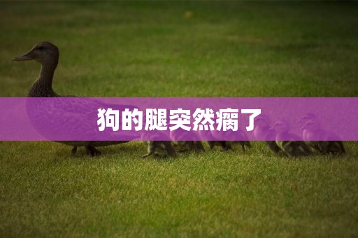 狗的腿突然瘸了