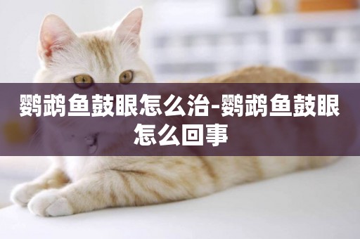 鸚鵡魚鼓眼怎么治-鸚鵡魚鼓眼怎么回事