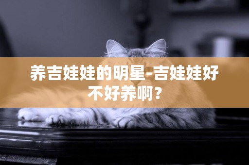 養吉娃娃的明星-吉娃娃好不好養啊？