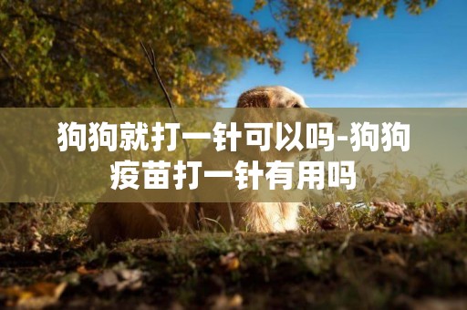 狗狗就打一針可以嗎-狗狗疫苗打一針有用嗎