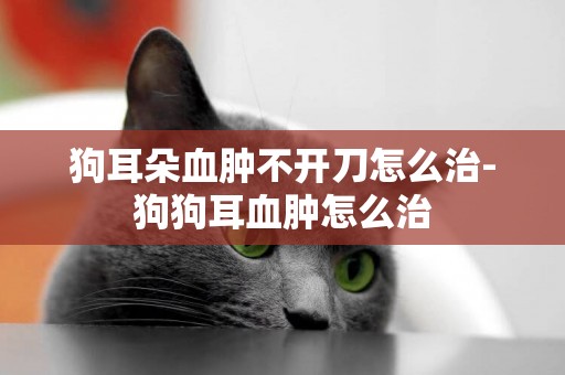 狗耳朵血腫不開刀怎么治-狗狗耳血腫怎么治