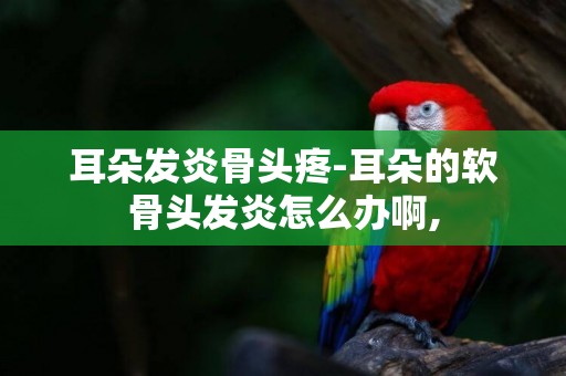 耳朵發炎骨頭疼-耳朵的軟骨頭發炎怎么辦啊,