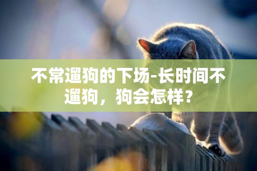不常遛狗的下場-長時間不遛狗，狗會怎樣？