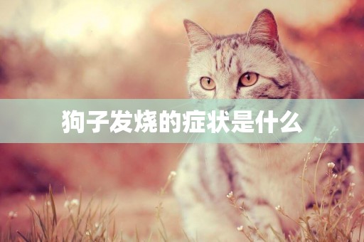 狗子發燒的癥狀是什么