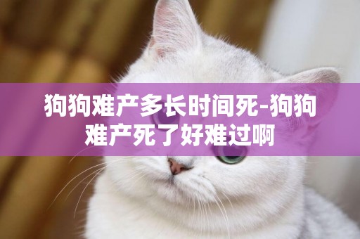 狗狗難產多長時間死-狗狗難產死了好難過啊