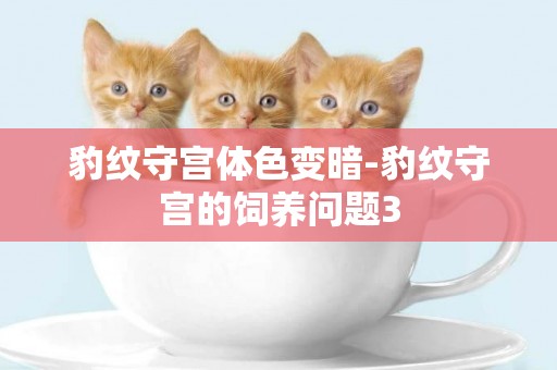 豹紋守宮體色變暗-豹紋守宮的飼養問題3