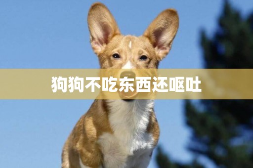 狗狗不吃東西還嘔吐