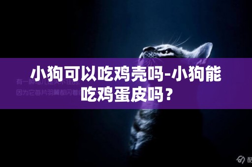 小狗可以吃雞殼嗎-小狗能吃雞蛋皮嗎？