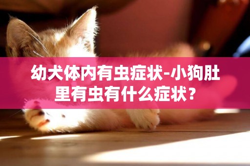 幼犬體內有蟲癥狀-小狗肚里有蟲有什么癥狀？