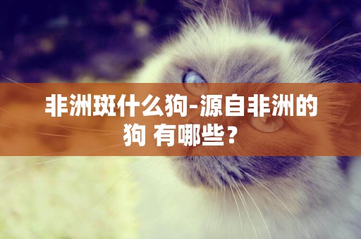 非洲斑什么狗-源自非洲的狗 有哪些？